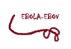 History of Ebola